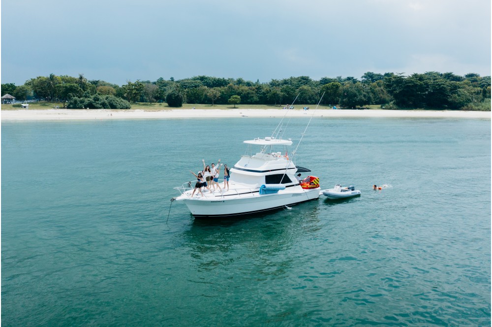 sail pearl white dunks